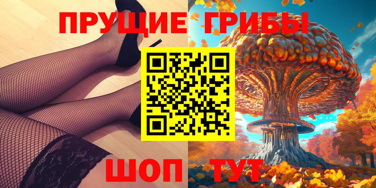 Курчалой  Галлюциногенные грибы MAGIC MUSHROOMS  продажа наркотиков  Вход с VPN 